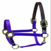Perri's Premium Nylon Safety Halter, Pony, Lime view 1