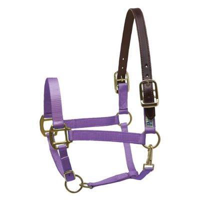 Perri's Premium Nylon Safety Halter, Pony, Multi Neon