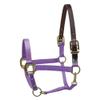 Perri's Premium Nylon Safety Halter, Pony, Multi Neon view 1