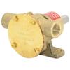 Johnson Pump 10-35038-5 F35B Pedestal-Style Impeller Pump view 2