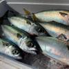 Hayabusa Away sabiki Large Mackerel, Large Trevally Brighton 5 Piece HS351 view 4