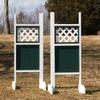 Platinum Jumps Lattice Top Solid Bottom Wing Standards 6 Foot Green #209