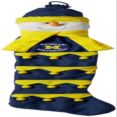 Michigan Wolverines Card Holder