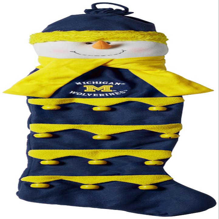 Michigan Wolverines Card Holder