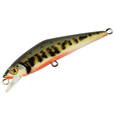 Smith LTD Minnow D-Contact, 3.3 inches (85 mm), 0.5 oz (14.5 g), G Yamame #23