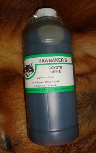 Hawbakers Coyote Urine Pint Bottle
