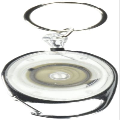 Tatco Reel Key Chain with Chrome Carabiner - 6 / Pack - Chrome (TCO58200)