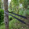Hammock Bliss XL Extra Long Tree Straps - Hang Any Hammock with Ease - Super Strong & Durable - Quality You Can Trust - Only 5 oz / 138 Grams - Set of 2 Straps view 3