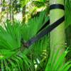 Hammock Bliss XL Extra Long Tree Straps - Hang Any Hammock with Ease - Super Strong & Durable - Quality You Can Trust - Only 5 oz / 138 Grams - Set of 2 Straps view 4