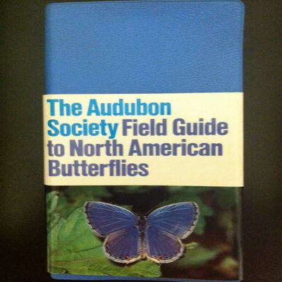 Random House Audbn Fg: Butterflies Robert Pyle