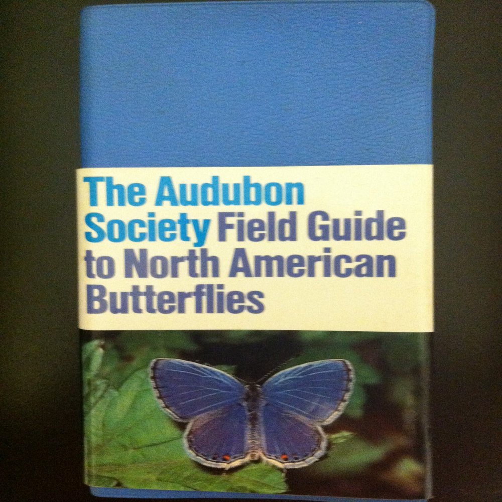 Random House Audbn Fg: Butterflies Robert Pyle