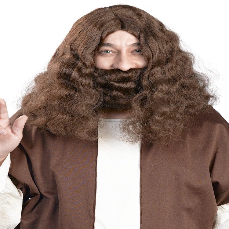Enigma Wigs Men's Jesus Wig, Brown, One Size