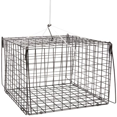 SOUTH BEND Hurricane F210 Hr Crab Trap Sq 10.5X10.5X10.5, Multi, One Size