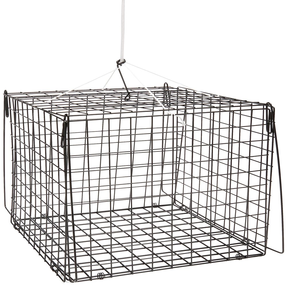 SOUTH BEND Hurricane F210 Hr Crab Trap Sq 10.5X10.5X10.5, Multi, One Size