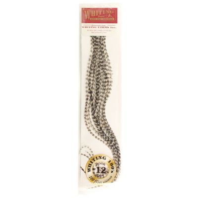 Whiting Farms 100's Saddle Hackle Pack (Grizzly, 12)