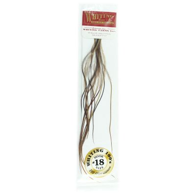 Whiting Farms 100's Saddle Hackle Pack Brown Size 18