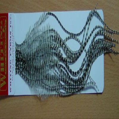 Whiting Farms 100's Saddle Hackle Pack (Grizzly, 16)