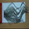 Whiting Farms 100's Saddle Hackle Pack (Grizzly, 14) view 1