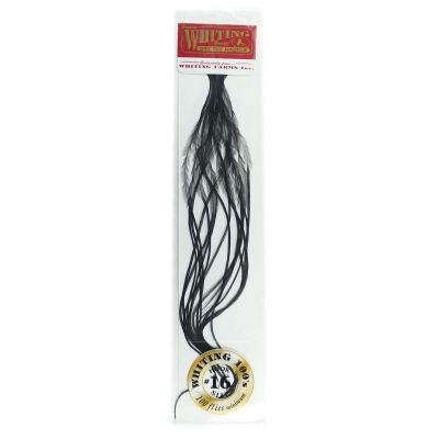Whiting Farms 100's Saddle Hackle Pack Black Size 16