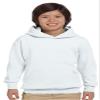 Youth EcoSmart Hooded Sweatshirt by Hanes view 1