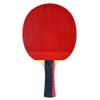 Butterfly 303 Table Tennis Racket Set - 1 Ping Pong Paddle - Pips in and Out Rubber - Free Case - Gift Box - ITTF Approved view 3