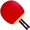 Butterfly B302CS Chinese Penhold Table Tennis Racket | China Series | Racket and Case Set Offering Good Speed and More Spin | Recommended for Beginning Level Players view 1