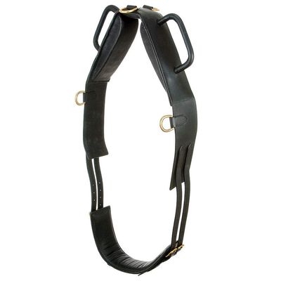 Performers 1St Choice Vaulting Surcingle Black