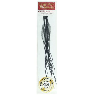 Whiting Farms 100's Saddle Hackle Pack Black Size 18