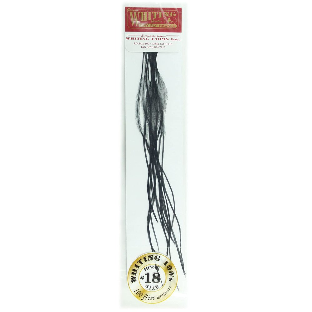 Whiting Farms 100's Saddle Hackle Pack Black Size 18