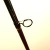ESP Power Lite Fishing Rod, 7'0" view 3
