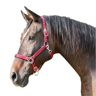 Kerbl Unisex's Mustang Head Collar-Red/Black, Size 2