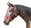Kerbl Unisex's Mustang Head Collar-Red/Black, Size 2 view 1