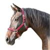 Kerbl Mustang Head Collar - Red/Black, Size 3 view 1