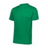 Augusta Sportswear Men's Wicking T-Shirt, Medium, Kelly view 1