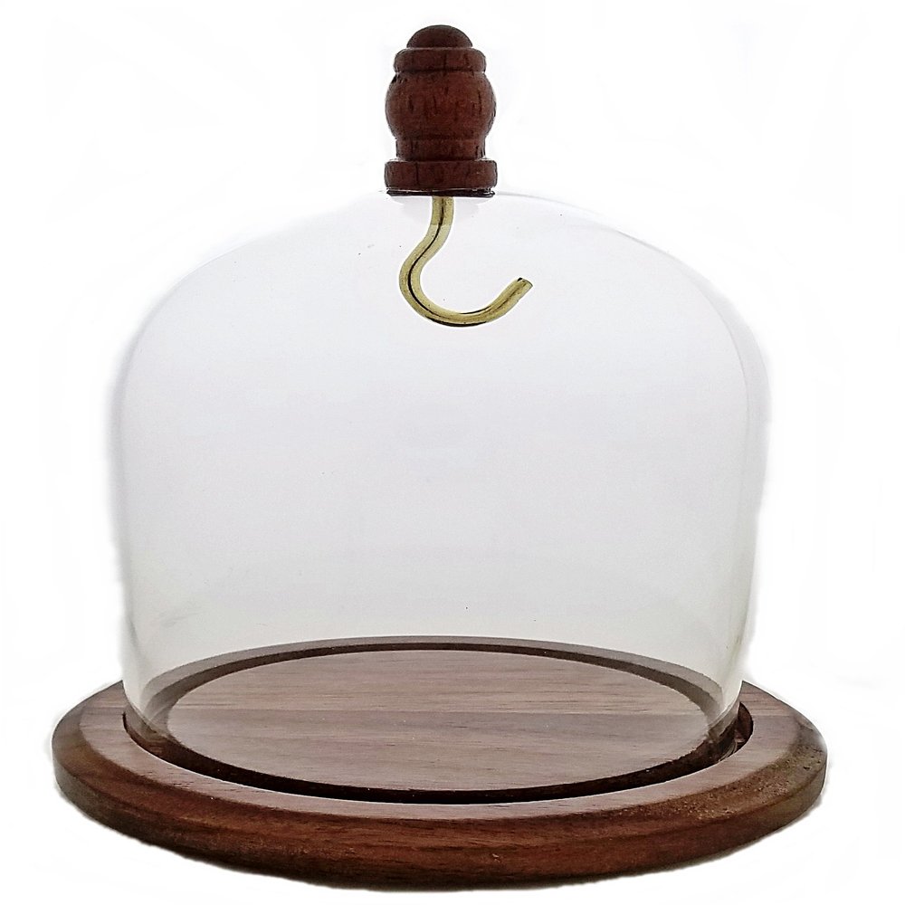 3"x4" Pocket Watch Glass Display Dome Cloche with Hook, Real Walnut Base & Wood knob