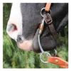 The Bob Avila Collection by Professionals Choice Equine Correction Bit view 2