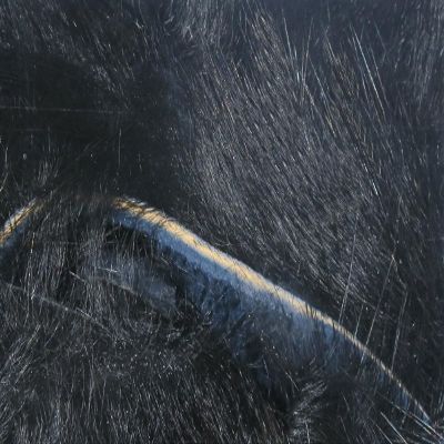 Hareline Fly Tying Magnum Rabbit Strips - Black