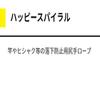 YAMASHITA QHSSSBK Hip Rope Happy Spiral S, Smoke Black view 2