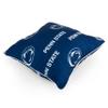 College Covers Everything Comfy Penn State Nittany Lions 16" x 16" Decorative Pillow view 4