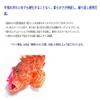 Yamashita Octopus Bait LP Octopus Aurora No. 1.5 inches (45 mm) Luminous P Lure view 2