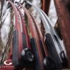 Genesis Original Compound Bow & Arrow Kit- Adjustable Riser, 15"-30" Draw Length, 10-20 lb Draw Weight, All Skill Levels, Draw Hand - Right, Orange view 4