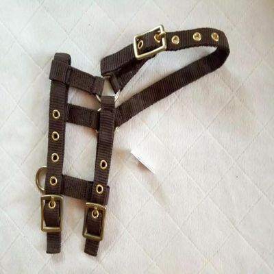 EKKIA 510033004 510033004 Mini FOAL ADJ.NYL.HALT.Brown 510033004 Horse Riding Equipment, Brown