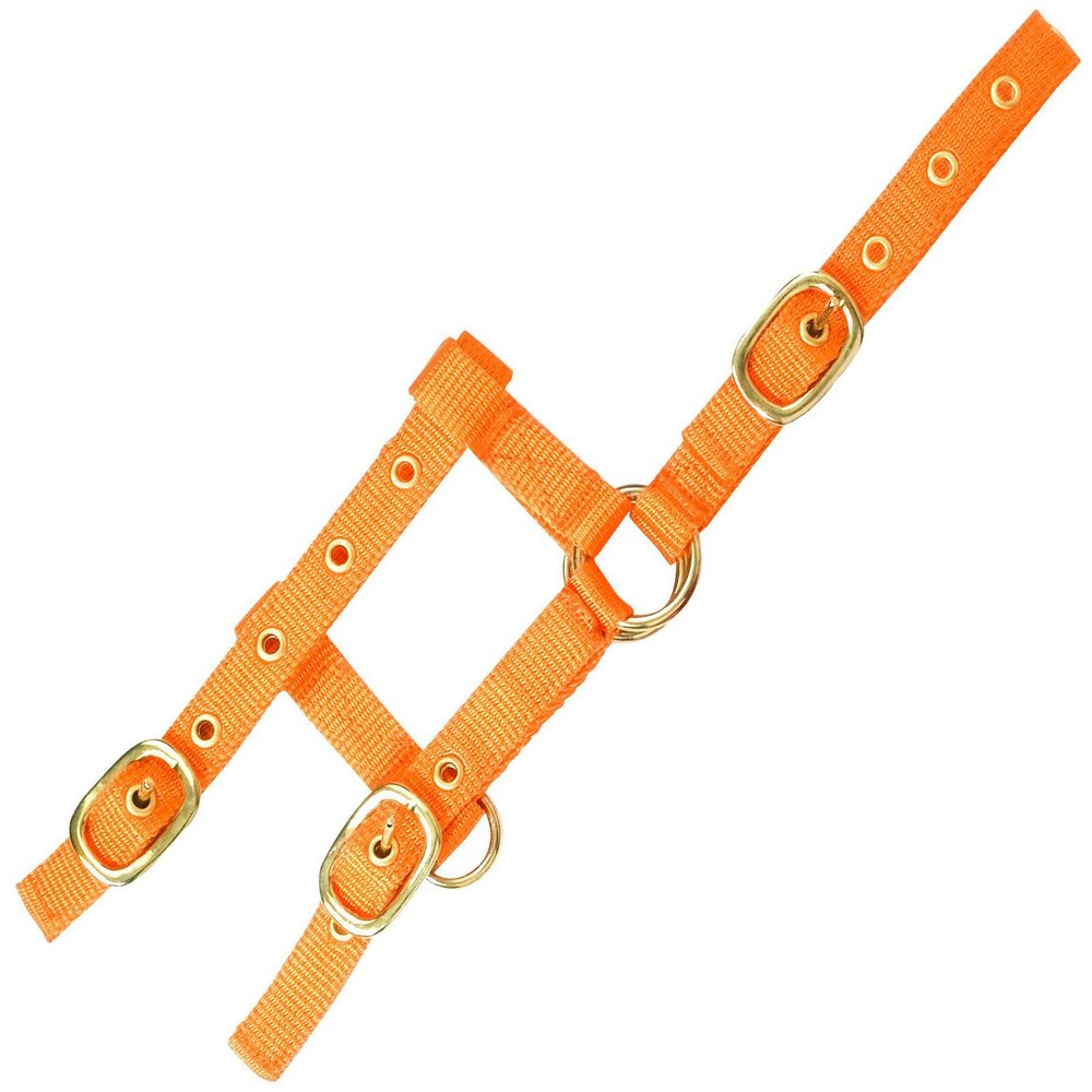 EKKIA Adjustable Mini Headcollar Orange Mini Foal Size