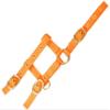 EKKIA Adjustable Mini Headcollar Orange Mini Foal Size view 1