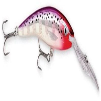 Rapala Deep Tail Dancer 07 Fishing lure, 2.75-Inch, Purple Clown Flash