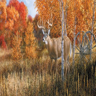 VantagePoint 020270X Big Game-Deer Rear Window Graphic