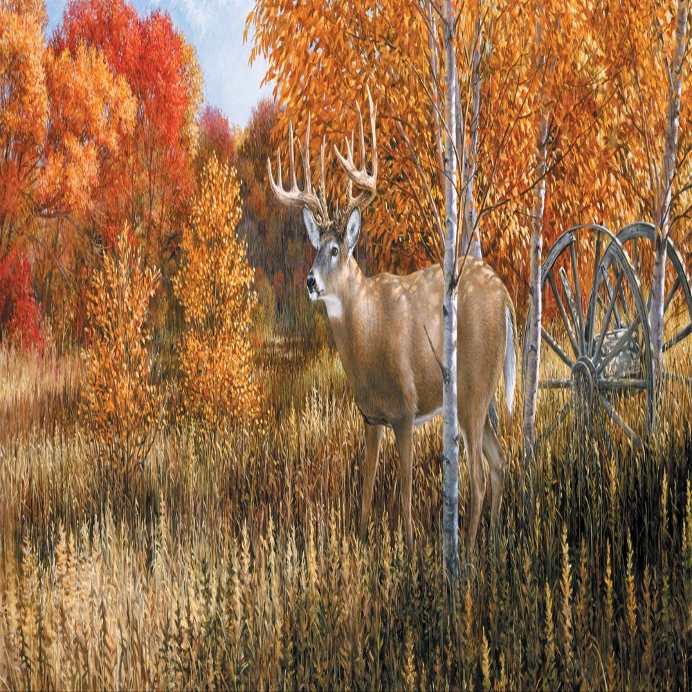 VantagePoint 020270X Big Game-Deer Rear Window Graphic