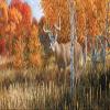 VantagePoint 020270X Big Game-Deer Rear Window Graphic view 1