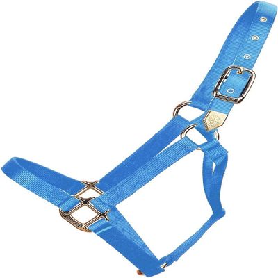 Hamilton Deluxe Horse Halter, 1" Triple Ply Nylon, Yearling or Standard Donkey, 300-500 lbs, Berry Blue