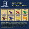 Hamilton Deluxe Horse Halter, 1" Triple Ply Nylon, Yearling or Standard Donkey, 300-500 lbs, Berry Blue view 3